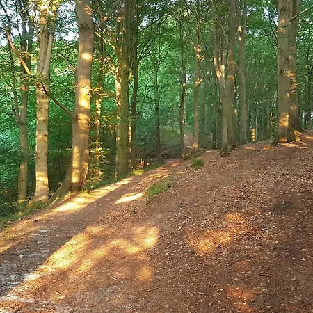 Cozy Retreat Near - By Traum *